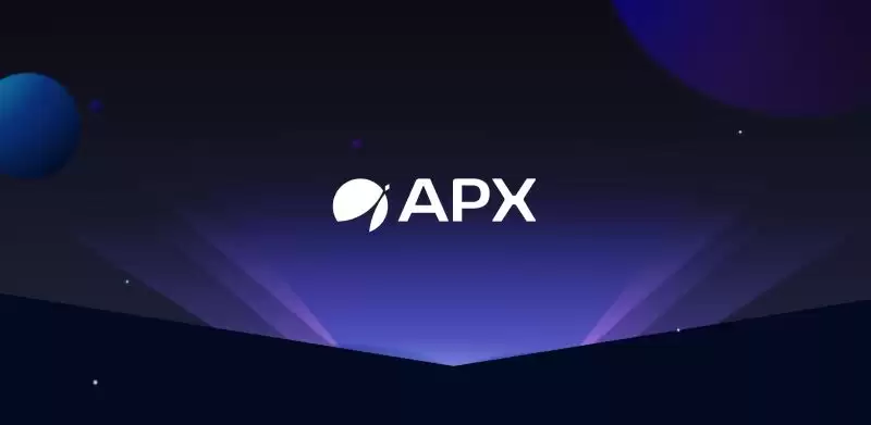 What is APX Finance? 