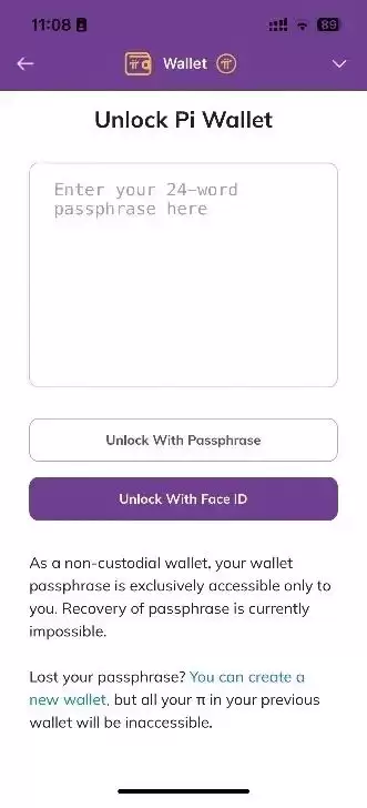 输入密码来解锁你的PI wallet