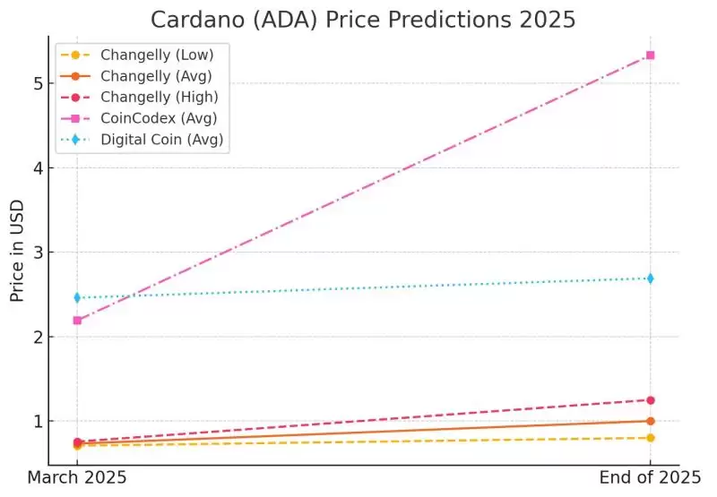 2025.5.13艾达币价格预测:ADA币成为美国储备加密资产的影响