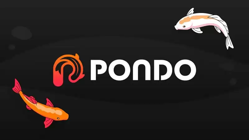 PDNO币是什么？Aleo区块链的革命性流动质押协议