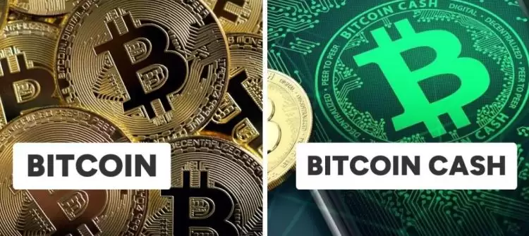 比特现金和比特币关系是什么?比特现金和比特币关系和区别详解