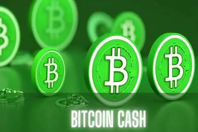 比特现金潜力大吗?比特现金怎么玩?