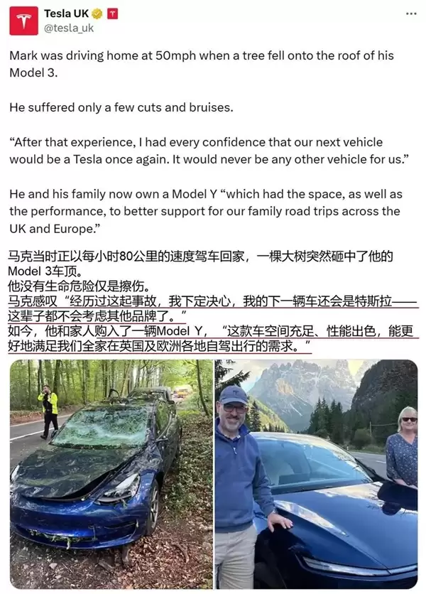 特斯拉Model 3被大树砸中护住乘员安全 车主又提新车支持马斯克