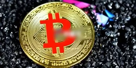 Google发布量子芯片Willow！Ava Labs：建议冻结中本聪的比特币