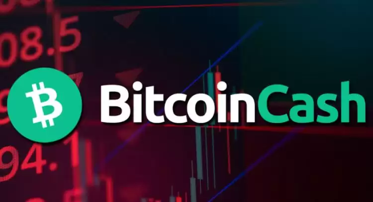 比特现金和比特币关系是什么?比特现金和比特币关系和区别详解