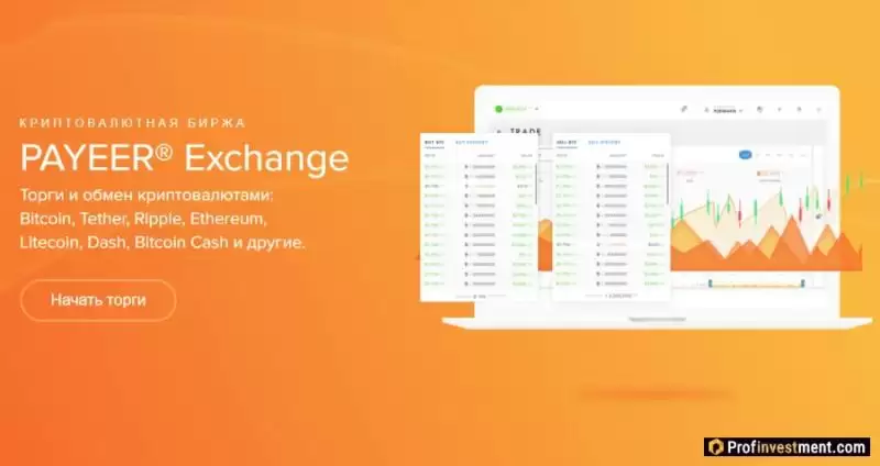 Payeer Exchange