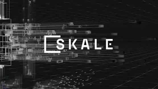 SKL币怎么样?SKL币未来到底有没有价值?