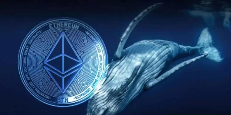 以太坊赚的钱从哪里来的？以太坊币的赚钱方式