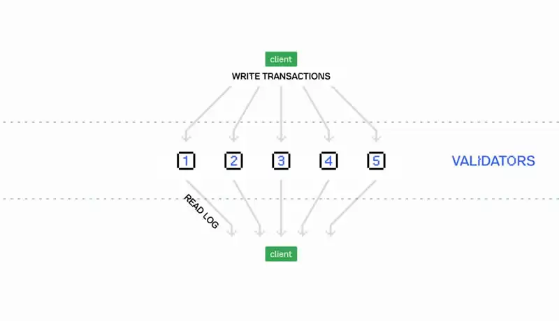 什么是Pod Network？Pod Network项目介绍、团队、融资