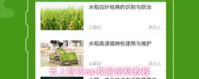 云上智农ap找回密码教程