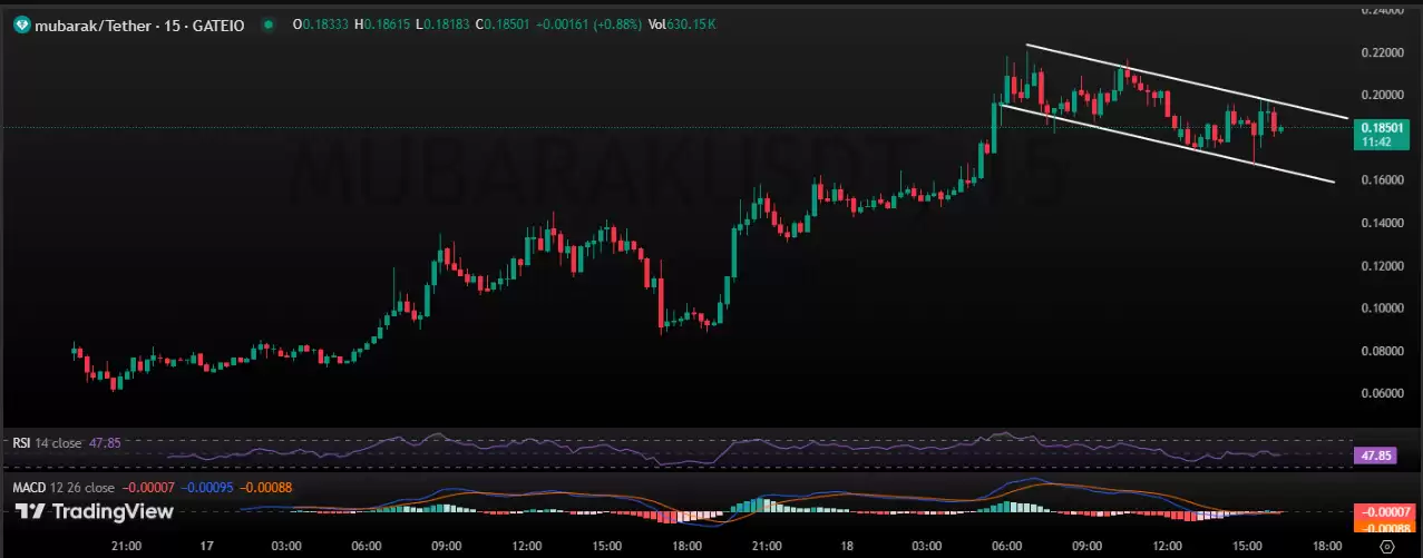 穆巴拉克 (Mubarak)价格预测:币安支持助长市场炒作