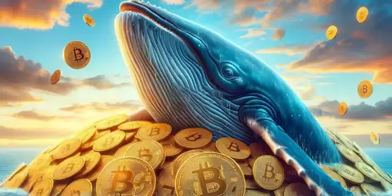 交易所单日净流出1.7万枚比特币！巨鲸大户低吸 是看涨讯号？