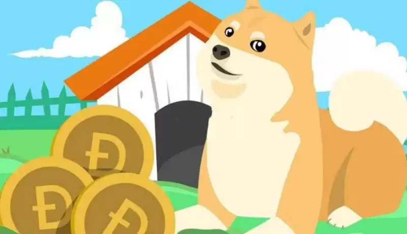 买的狗狗币平台不在了怎么办?购买狗狗币有哪些平台?