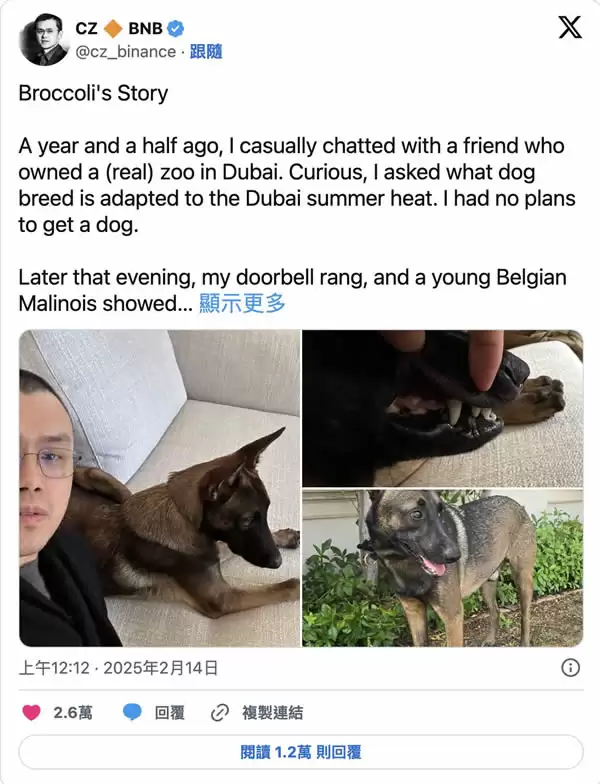 一文详解Broccoli币的起源、社群行为、风险与未来发展潜力