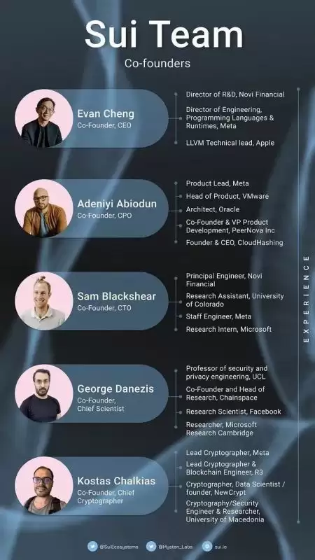 Walrus(WAL)币是什么？WAL币潜力如何？WAL币未来展望