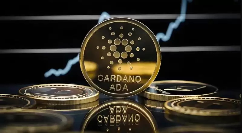 2025.5.13艾达币价格预测:ADA币成为美国储备加密资产的影响