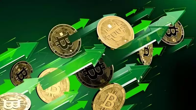 山寨季结束了吗？比特币ETF重写加密货币投资策略