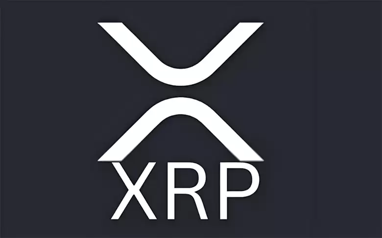 有多少人拥有 XRP？XRP 富豪榜一览（2025）