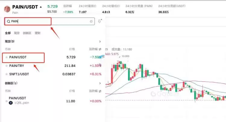 PAIN是什么币?发行价多少?什么时候上市?