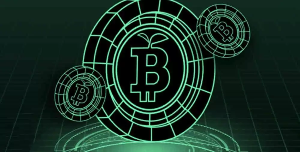 苹果手机购买比特币的渠道对比与费用分析