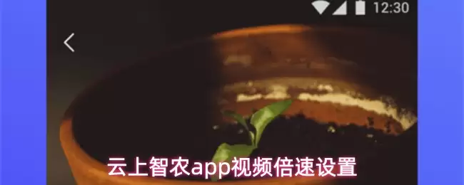 云上智农app视频倍速设置