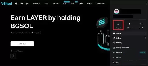 Bitget充值入口界面