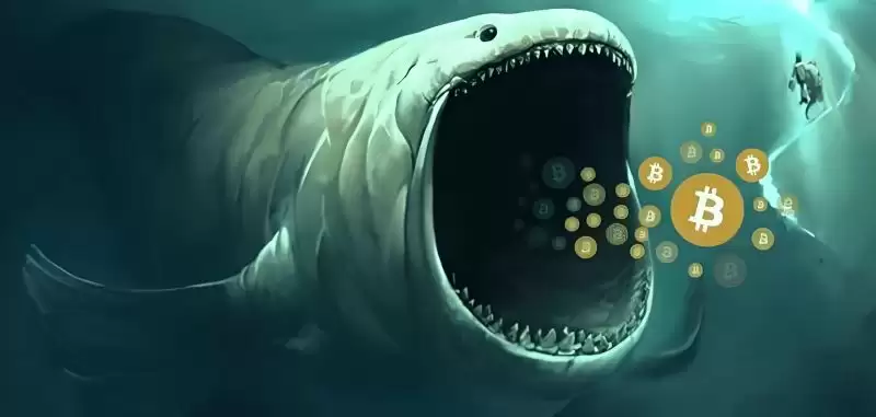 币圈赚钱吗?2025年币圈为什么很难赚钱了?