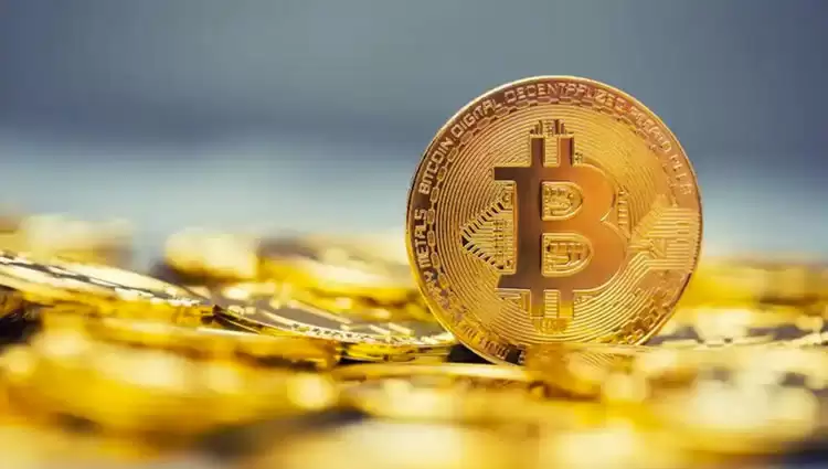 币圈常见主流数字货币与主流板块概念介绍