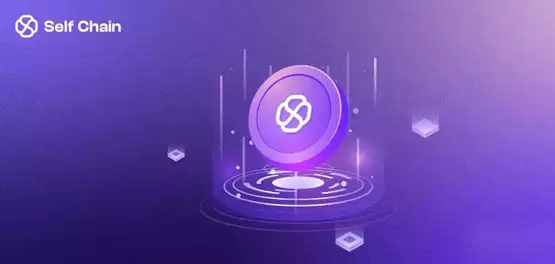 SLF币发行总量和发行时间介绍