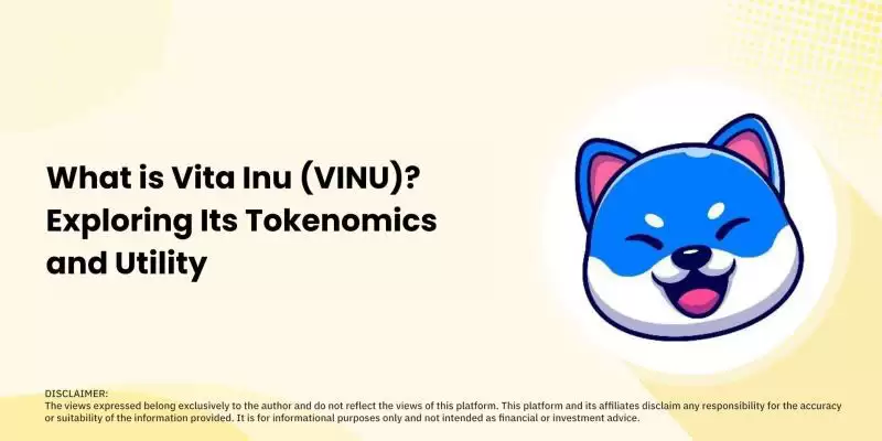 Vita Inu(VINU)是什么币？VINU代币经济学和购买教程