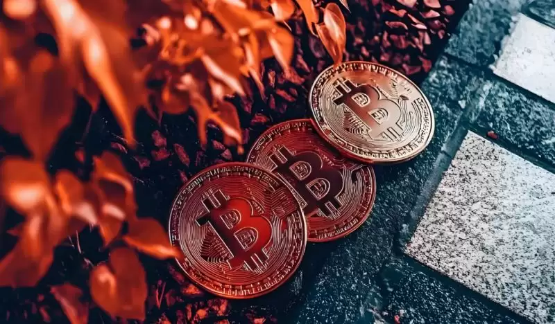 2025年最新注册有奖励的加密货币交易所排行榜前十名