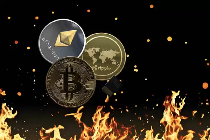 比特币、以太坊和狗狗币为何大幅上涨？