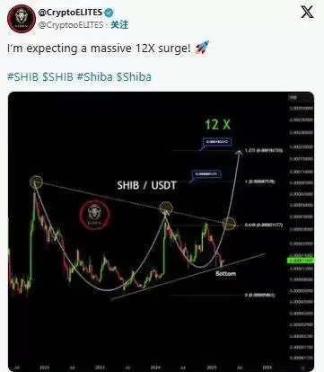 2025年4月柴犬币(SHIB)价格大爆发预期,能否刷新历史新高?