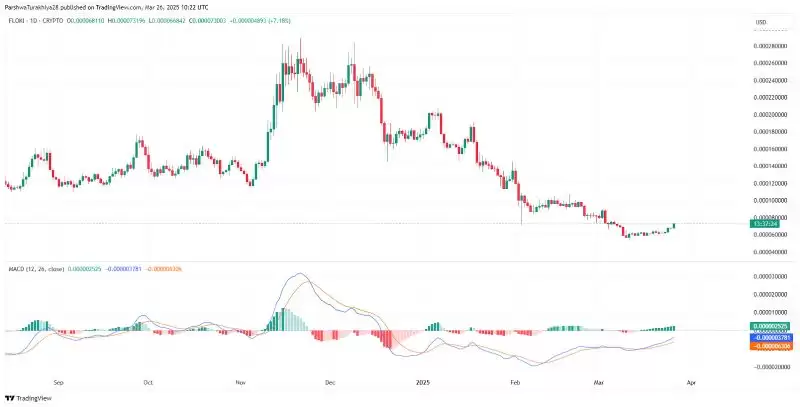FLOKI币价格预测:会不会涨到1美元?(2025-2030)