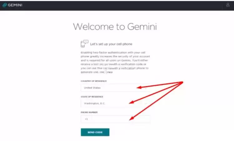Gemini国内如何使用？Gemini交易所小白使用教程国内版