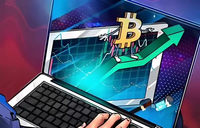 散户币圈投资困境:小赚大亏现象深度解析