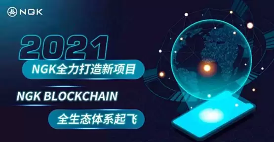 NGK币发行价格和发行量介绍