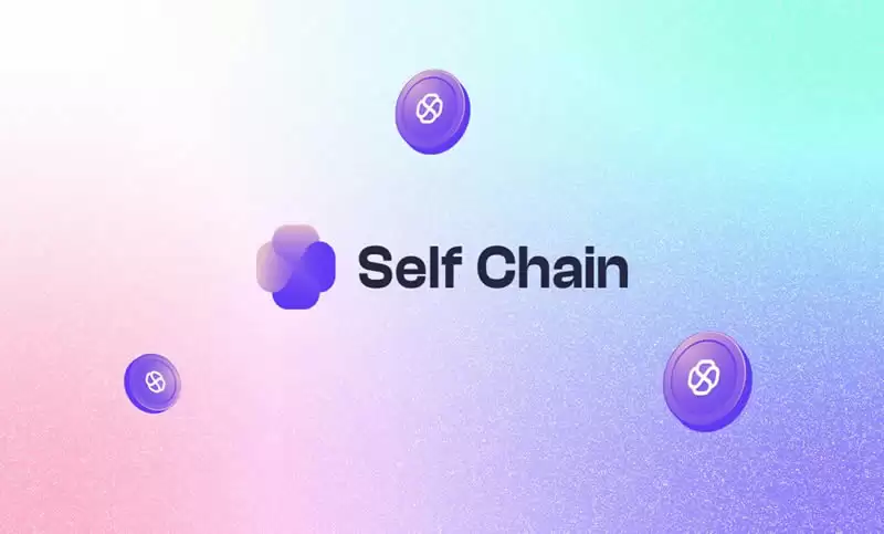 SLF(前FRONT)币是什么？SLF币未来如何？SLF币价格预测全教学