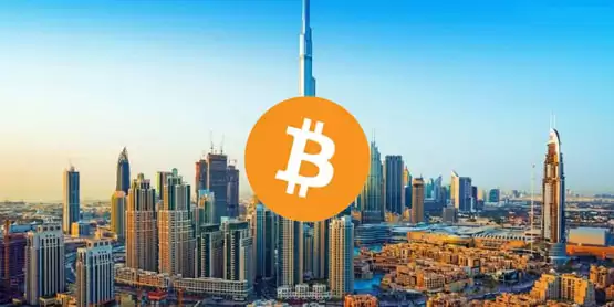 阿布扎比主权基金投资超4亿美元贝莱德比特币ETF!赵长鹏暗示可能持有更多