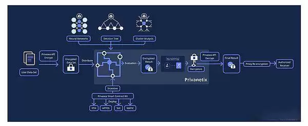 什么是Privasea(PRVA)币？解读PRVA代币经济学、融资、功能、前景