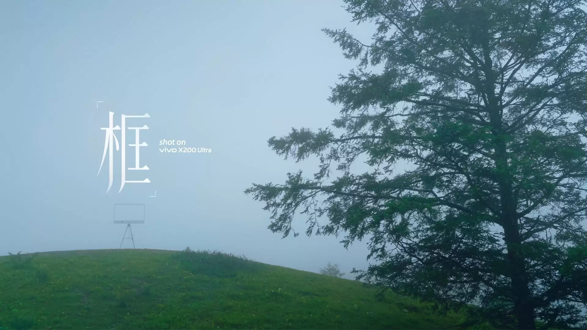 《框》shot on vivo X200 Ultra，荣膺2025金旗奖内容营销案例金奖