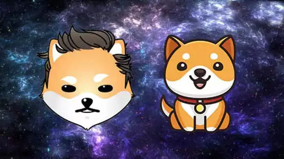 ELON币发行价格多少?ELON币发行价格和发行时间介绍