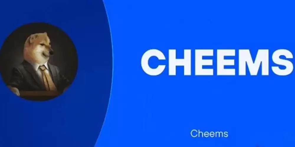 CHEEMS是什么币种？CHEEMS币怎么样？值得投资吗？