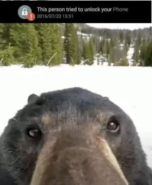 现在是币圈熊市吗?这场熊市很可能会比上一次更糟