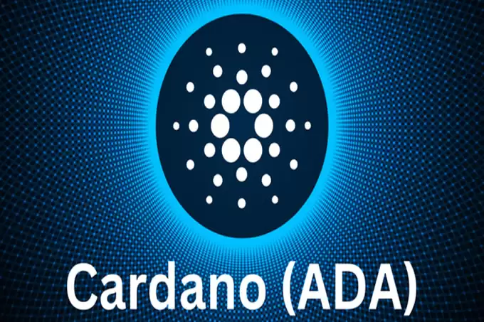 揭秘下一波牛市:20倍潜力币详细解析,值得收藏!