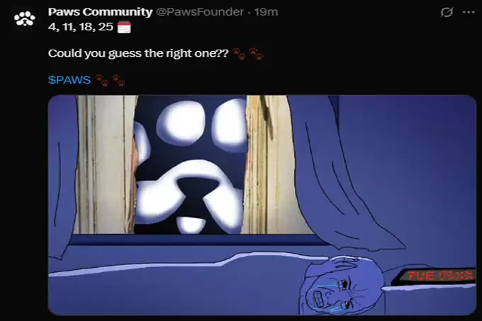 PAWS 代币价格预测：PAWS 上市价格是多少？