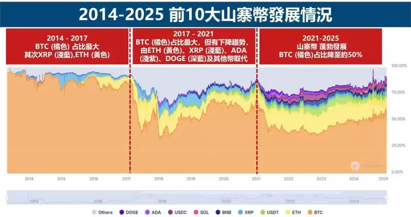 前10大山寨币发展情况