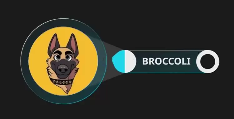 BROCCOLI是什么币?BROCCOLI币的前世今生介绍