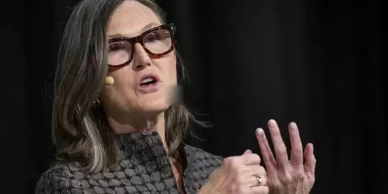 方舟投资女股神Cathie Wood重申:比特币2030年上看100万美元