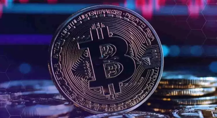 2025年比特币持币地址有多少个？最新比特币持币地址数量介绍